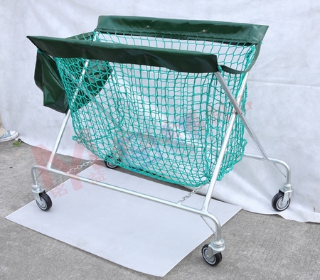 Net car